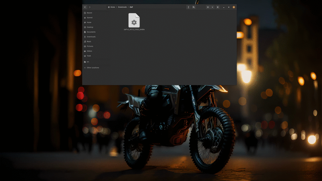 GIF showing the Web UI launched from the CLI terminal